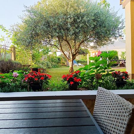 Apartment Dado Πόρετς Εξωτερικό φωτογραφία