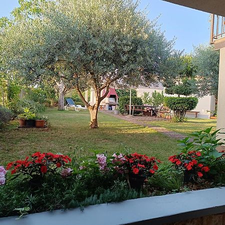 Apartment Dado Πόρετς Εξωτερικό φωτογραφία