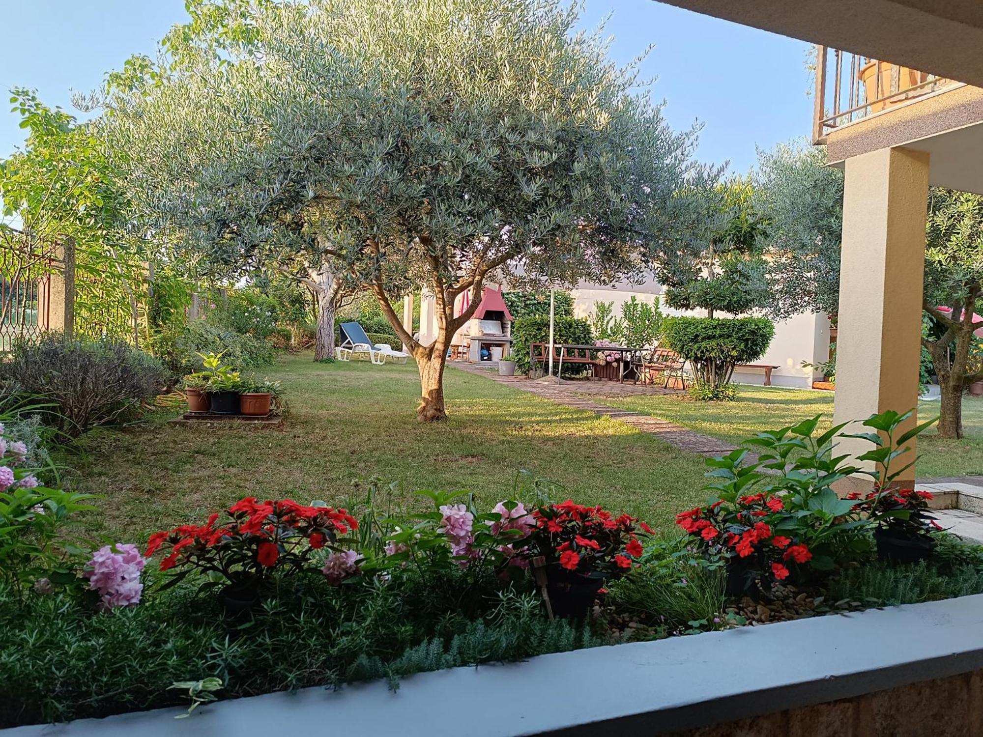 Apartment Dado Πόρετς Εξωτερικό φωτογραφία